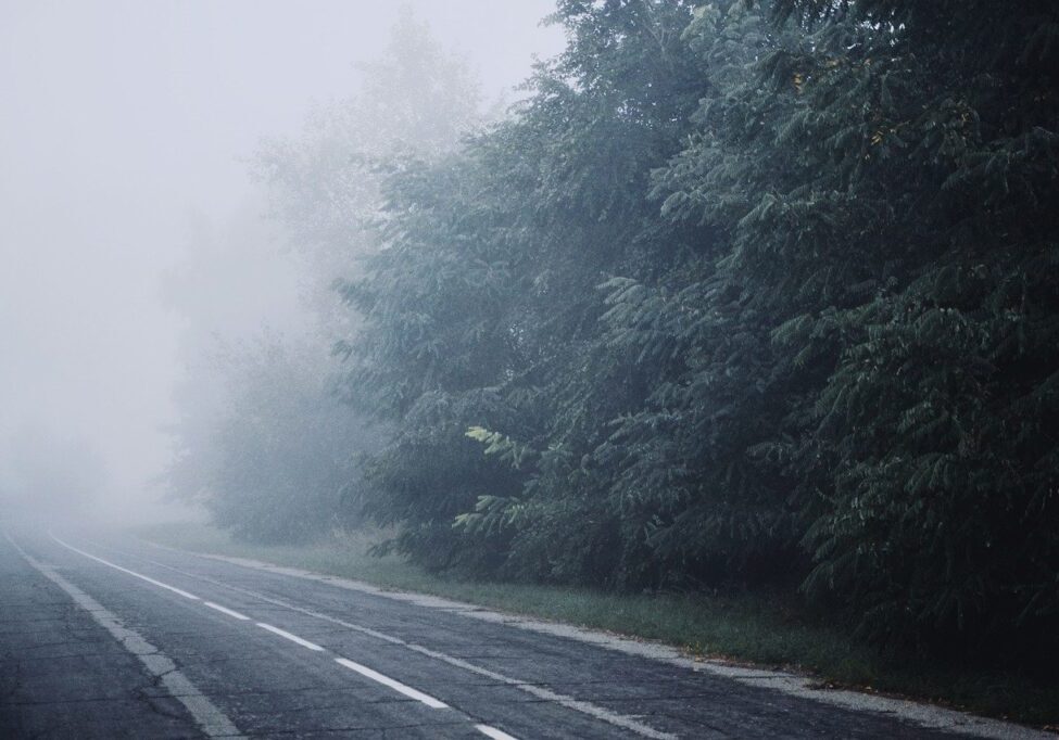 fog, nature, road-6696312.jpg