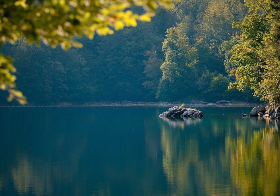 lake, rocks, forest-6641880.jpg